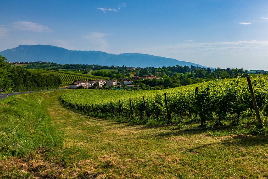 Colline del Prosecco